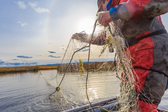 Качественные и функциональные сети рыболовные обеспечат увлекательное проведение досуга на берегу любого водоема
